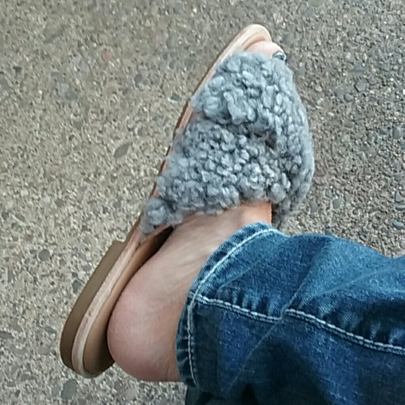 Brand New Uggs - Picture 5 of 5